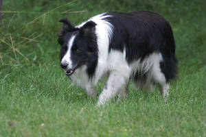 2005_0401image0005.jpg