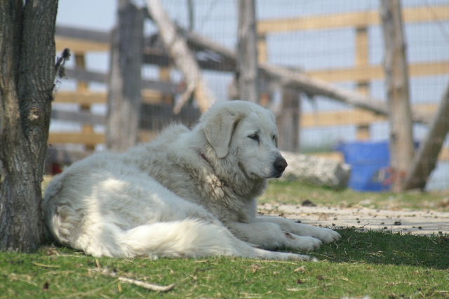 2006_0107image0036.jpg