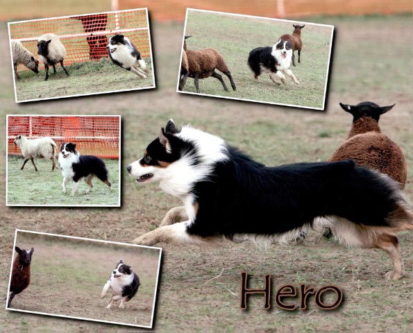 hero.jpg